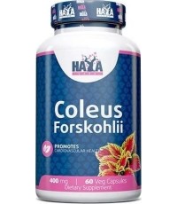 Haya Labs Coleus Forskohlii (ekstrakt z korzenia pokrzywy indyjskiej) 60 kaps.