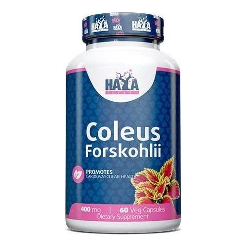 Haya Labs Coleus Forskohlii (ekstrakt z korzenia pokrzywy indyjskiej) 60 kaps.