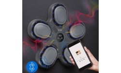 TB11 INTELLIGENT MUSIC BOXING MACHINE BLUETOOTH WITH GLOVES HMS