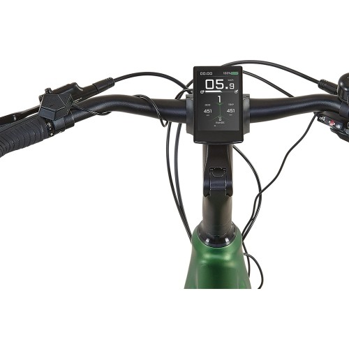 Rower elektryczny Prophete Entdecker 4.1 28" // 10G, rozmiar 20" (50 cm) (zielony)
