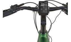 Rower elektryczny Prophete Entdecker 4.1 28" // 10G, rozmiar 20" (50 cm) (zielony)
