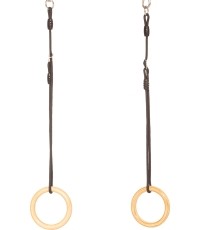 DICE gym rings wood