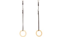 DICE gym rings wood