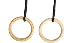 DICE gym rings wood