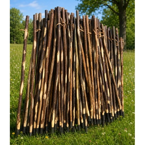 Origin Outdoors Walking Stick 'Camino'